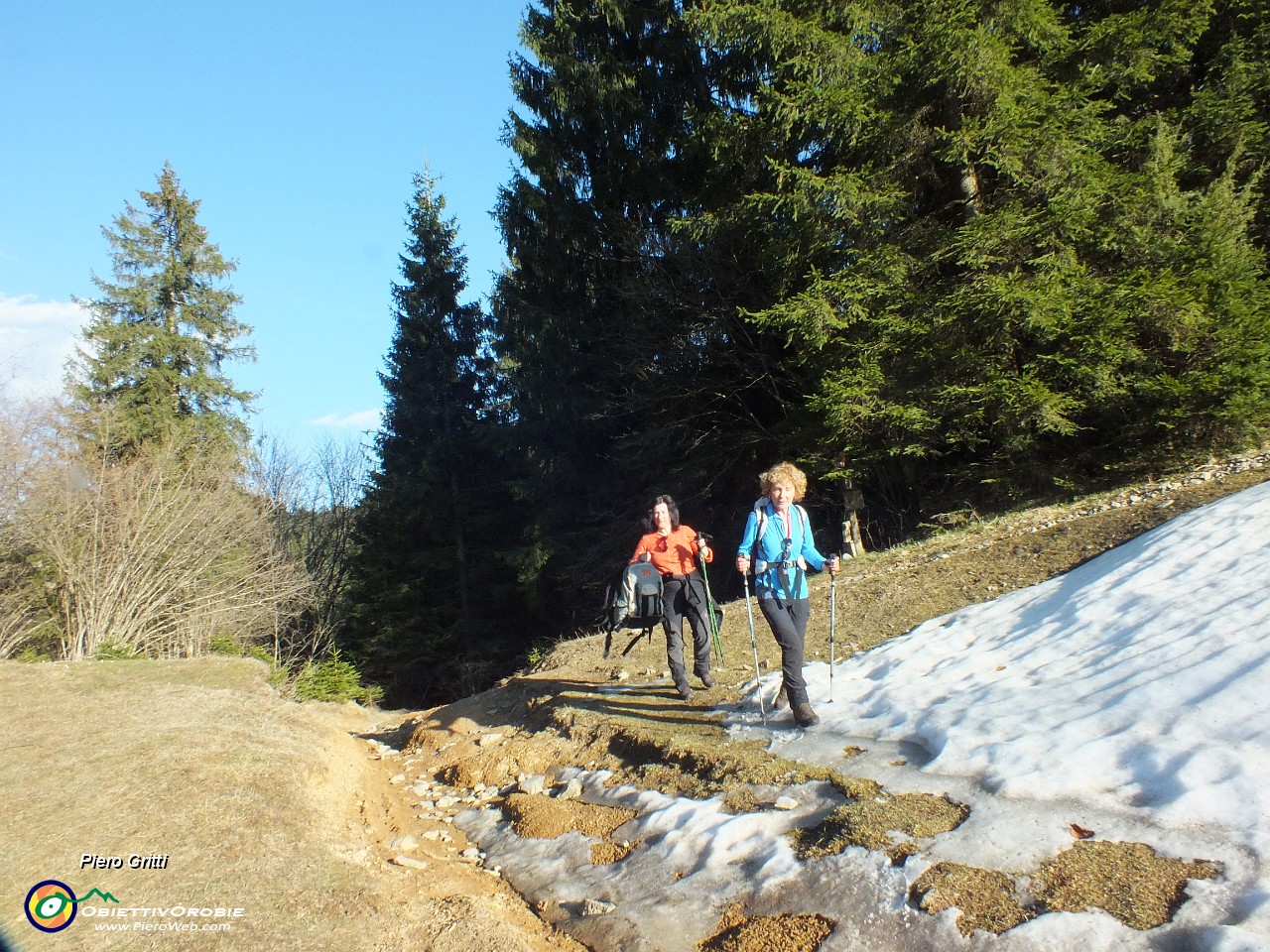 85 dopo lungo cammino in pineta chiudiamo l'anello al sole del Pianone.JPG